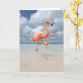 Het Strand Aruba van flamingo's Kaart (Gele Bloem)