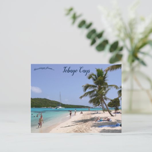 Het strand bij Tobago Cays Briefkaart (Staand voorkant)