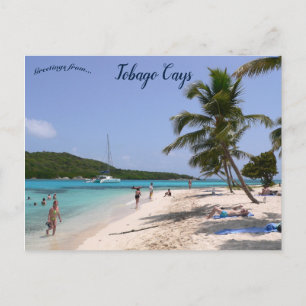Het strand bij Tobago Cays Briefkaart