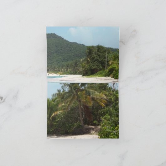 Het Strand Puerto Rico van het Flamenco van Kaart (Binnen)