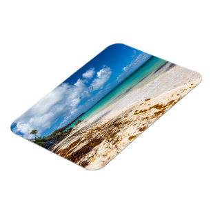 Het strand van Anse Canot op Marie-Galante Magneet
