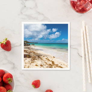 Het strand van Anse Canot op Marie-Galante Servet