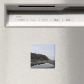 Het Strand van de Inham van het vlees Magneet (Insitu (Vaatwasser))