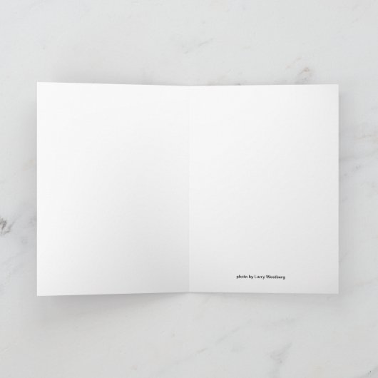 Het Strand van Dewey van badmeesters Kaart (Binnen)