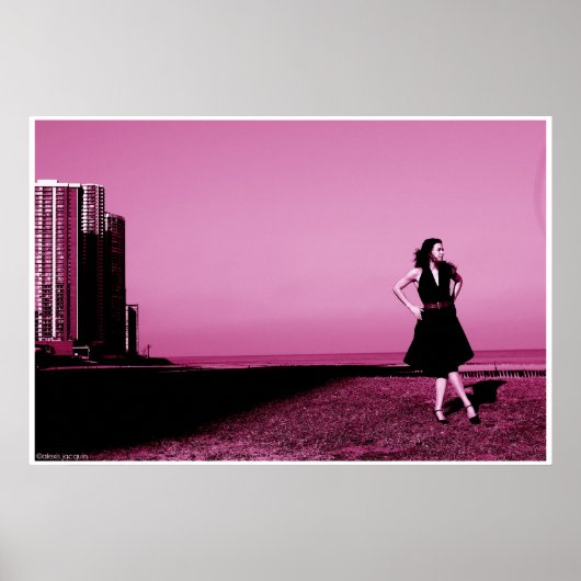 Het strand van Edgewater in 2006 Poster (Voorkant)