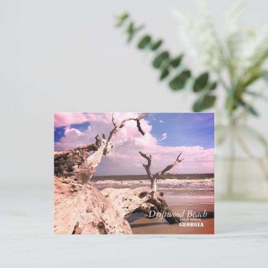 Het Strand van het drijfhout, Jekyll Eiland, Briefkaart (Staand voorkant)