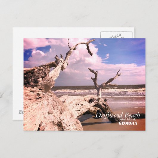 Het Strand van het drijfhout, Jekyll Eiland, Briefkaart (Voorkant / Achterkant)