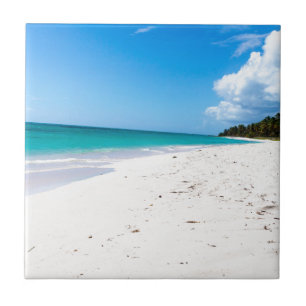 Het strand van Isla Saona in het Caribisch gebied Tegeltje