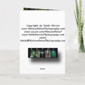 Het Stretch Wenskaart Kaart (Achterkant)