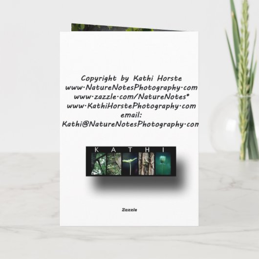 Het Stretch Wenskaart Kaart (Achterkant)