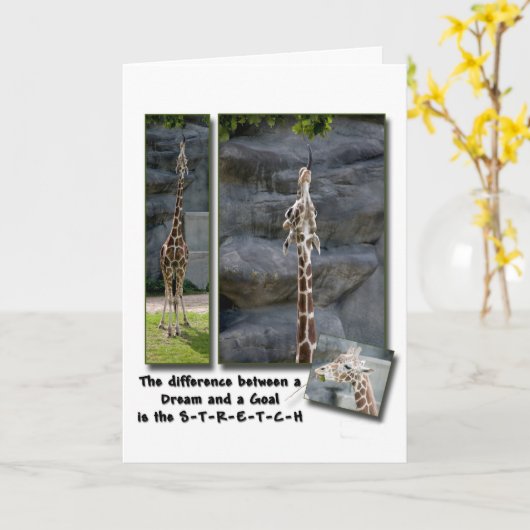 Het Stretch Wenskaart Kaart (Gele Bloem)