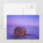 Het Stro van de winter verpakt dichtbij het Briefkaart (Voorkant / Achterkant)