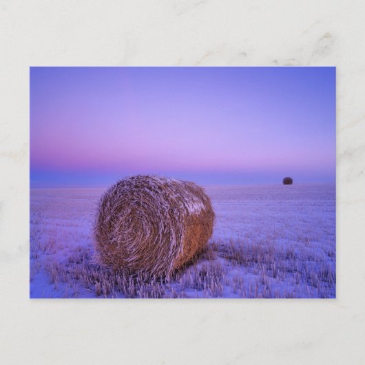 Het Stro van de winter verpakt dichtbij het Briefkaart (Voorkant)