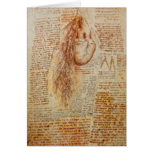 Het stroomgebied van de Hart en de Bronchiale Arte