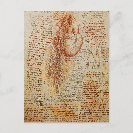 Het stroomgebied van de Hart en de Bronchiale Arte Briefkaart (Voorkant)