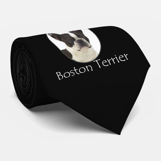 Het Stropdas van de betere Boston Terrier (Opgerold)