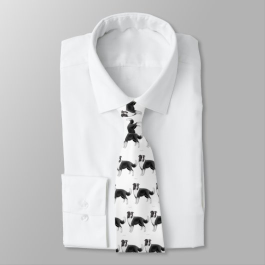 Het Stropdas van de Grens Collie (Gebonden)