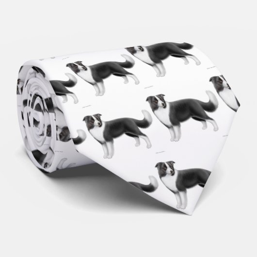 Het Stropdas van de Grens Collie (Opgerold)