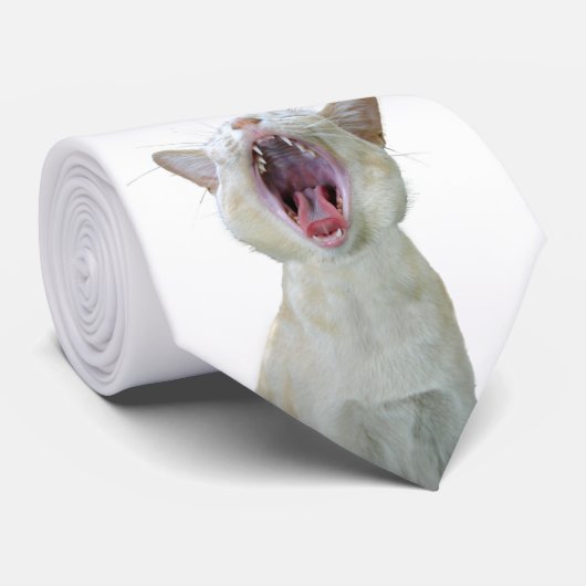 Het stropdas van de kat (Opgerold)