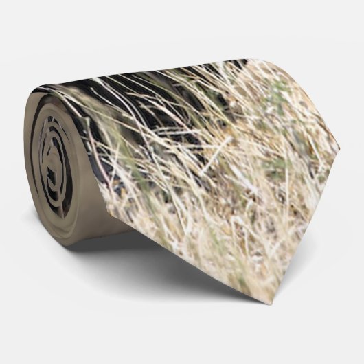 Het Stropdas van de Koning Lion (Opgerold)