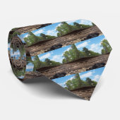 Het stropdas van de spoorweg. (Opgerold)