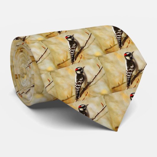 Het Stropdas van het geweven Donsachtige Man van (Opgerold)