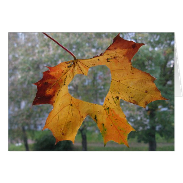 Het sturen van wat liefde (Voorkant Horizontaal)