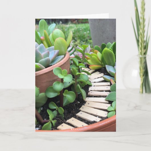 Het succulente Wenskaart van de Tuin van de Fee Kaart (Voorkant)