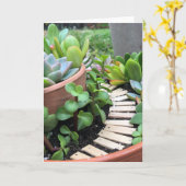 Het succulente Wenskaart van de Tuin van de Fee Kaart (Gele Bloem)