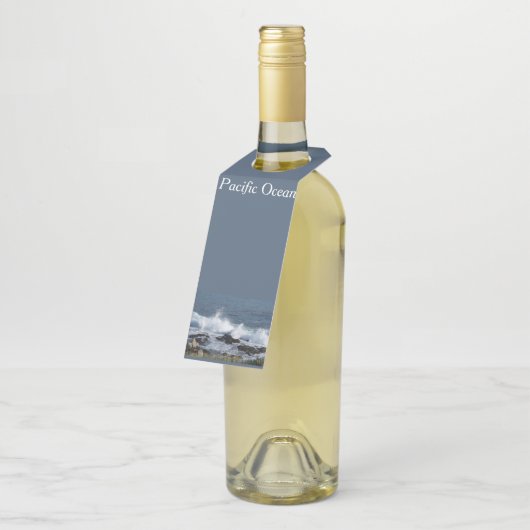 Het surf van de Stille Oceaan Flessenhanger (Schuin)