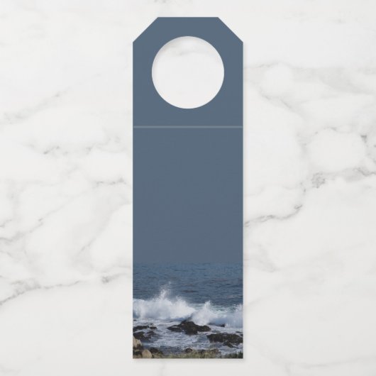 Het surf van de Stille Oceaan Flessenhanger (Achterkant)