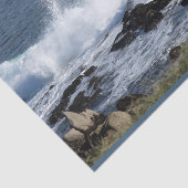 Het surf van de Stille Oceaan Tissuepapier (Detail)