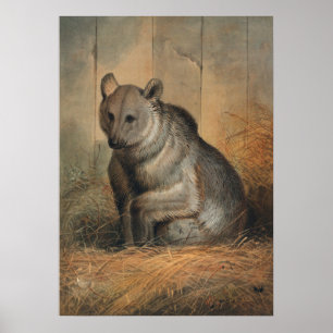 Het Syrische Beer van Joseph Wolf Poster