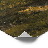 Het Tahoe-meer in de Sierras Poster (Hoek)