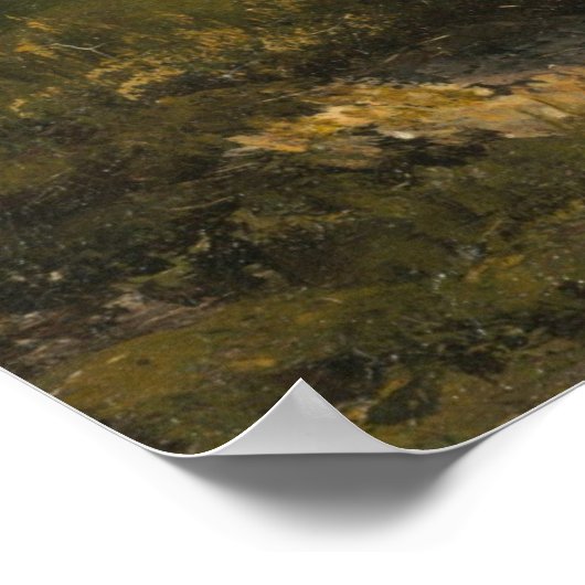 Het Tahoe-meer in de Sierras Poster (Hoek)