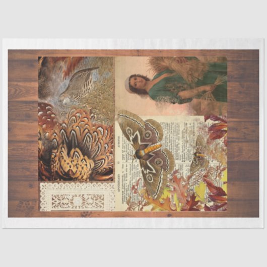 Het tarweverzamelende tissuepapier (Voorkant)