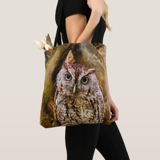 Het Tas Owl (Dichtbij)