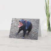 Het Tasmaanse Wenskaart van de Verjaardag van de Kaart (Achterkant)