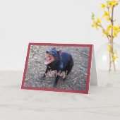 Het Tasmaanse Wenskaart van de Verjaardag van de Kaart (Gele Bloem)