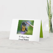 Het te voorschijn komen Vlinder Kaart (Achterkant)