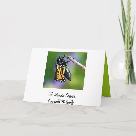 Het te voorschijn komen Vlinder Kaart (Achterkant)