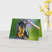 Het te voorschijn komen Vlinder Kaart (Gele Bloem)
