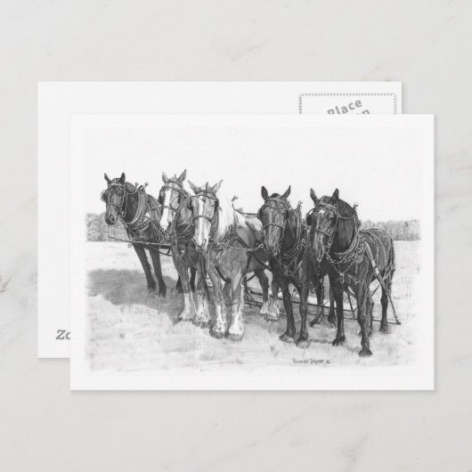 Het team briefkaart (Voorkant / Achterkant)