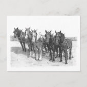 Het team briefkaart (Voorkant)