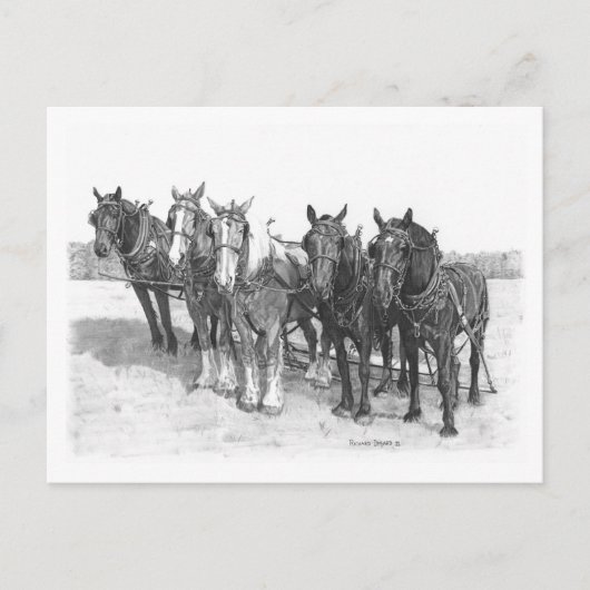 Het team briefkaart (Voorkant)