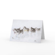 Het team Malamute die van Alaska sneeuw doornemen