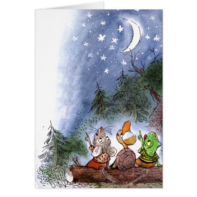 Het tellen van de sterren (Voorkant)