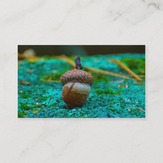 HET TEMPLATE VAN DE ZAKELIJKE ZAKELIJKE KAART VISITEKAARTJE (Achterkant)