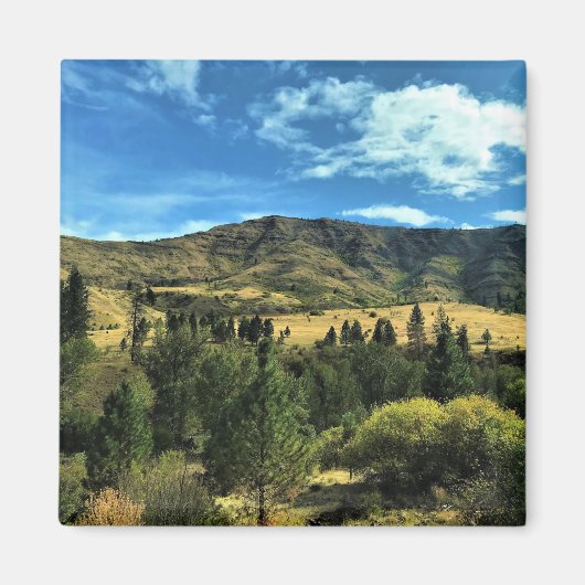 Het terrein van de Snake, Oregon Magneet (Voorkant)