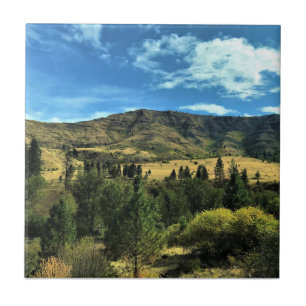 Het terrein van de Snake, Oregon Tegeltje